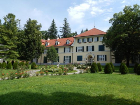Гостиница Apartments Villa Golf - Apartments & Wellness Center Patricia  Рогашка Слатина